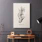 Shore Treasure Study II - Canvas Art Print