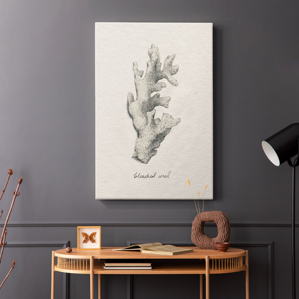 Shore Treasure Study II - Canvas Art Print