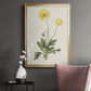 Flowers of the Seasons XII - Modern Framed Canvas Print