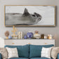 Laughing Seal - Floater Framed Canvas Print