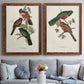 Elegant Trogons V - Premium Framed Canvas 2 Piece Set - Ready to Hang