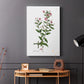 Rose Botanical III - Canvas Art Print