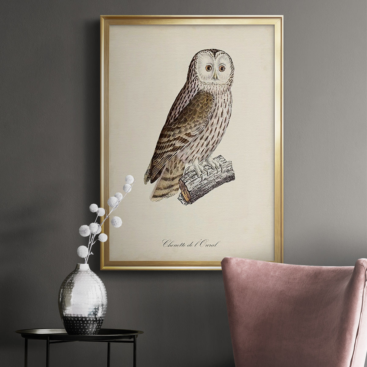 French Owls V - Modern Framed Canvas Print