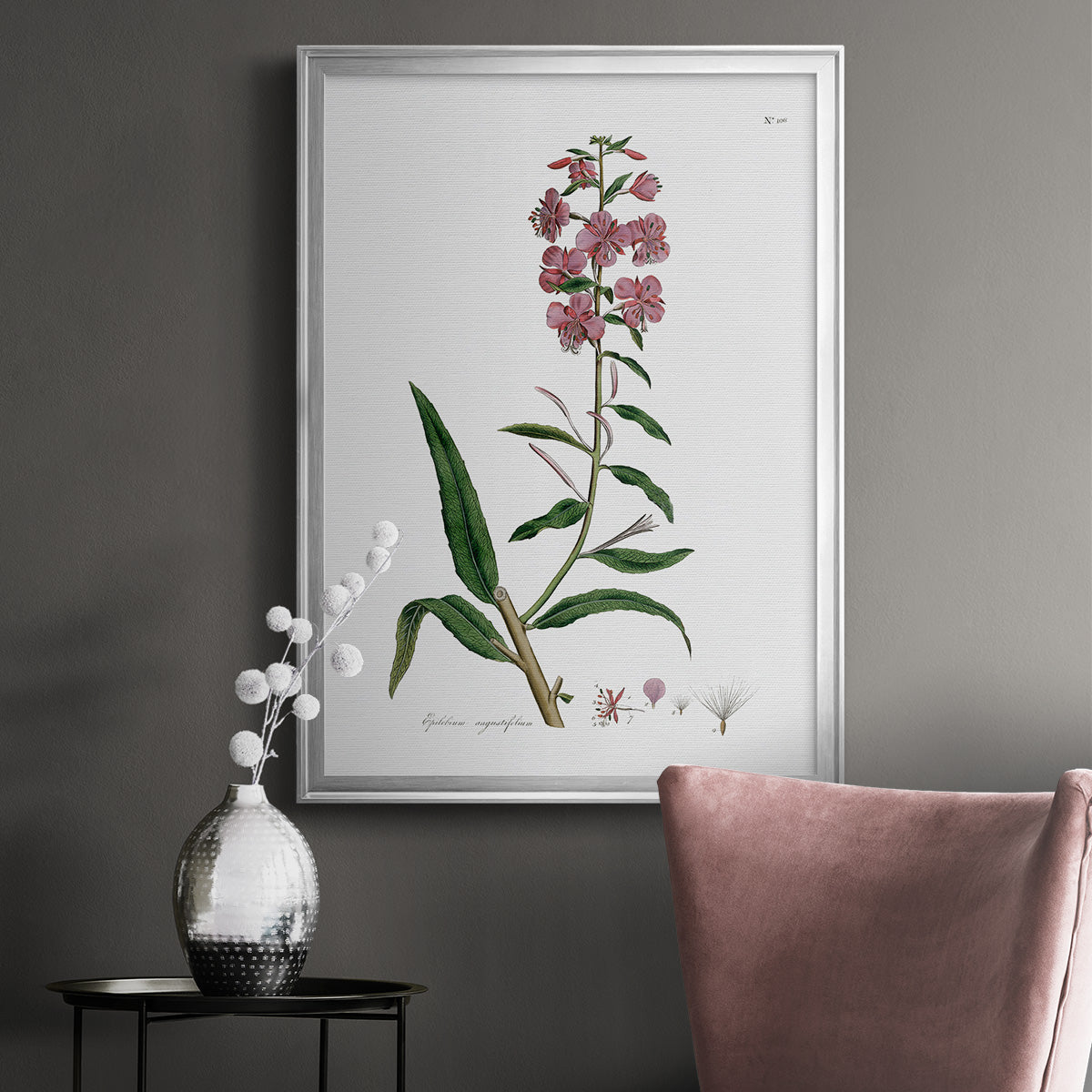 Rose Botanical I - Modern Framed Canvas Print