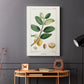 Turpin Tropical Botanicals V - Canvas Art Print
