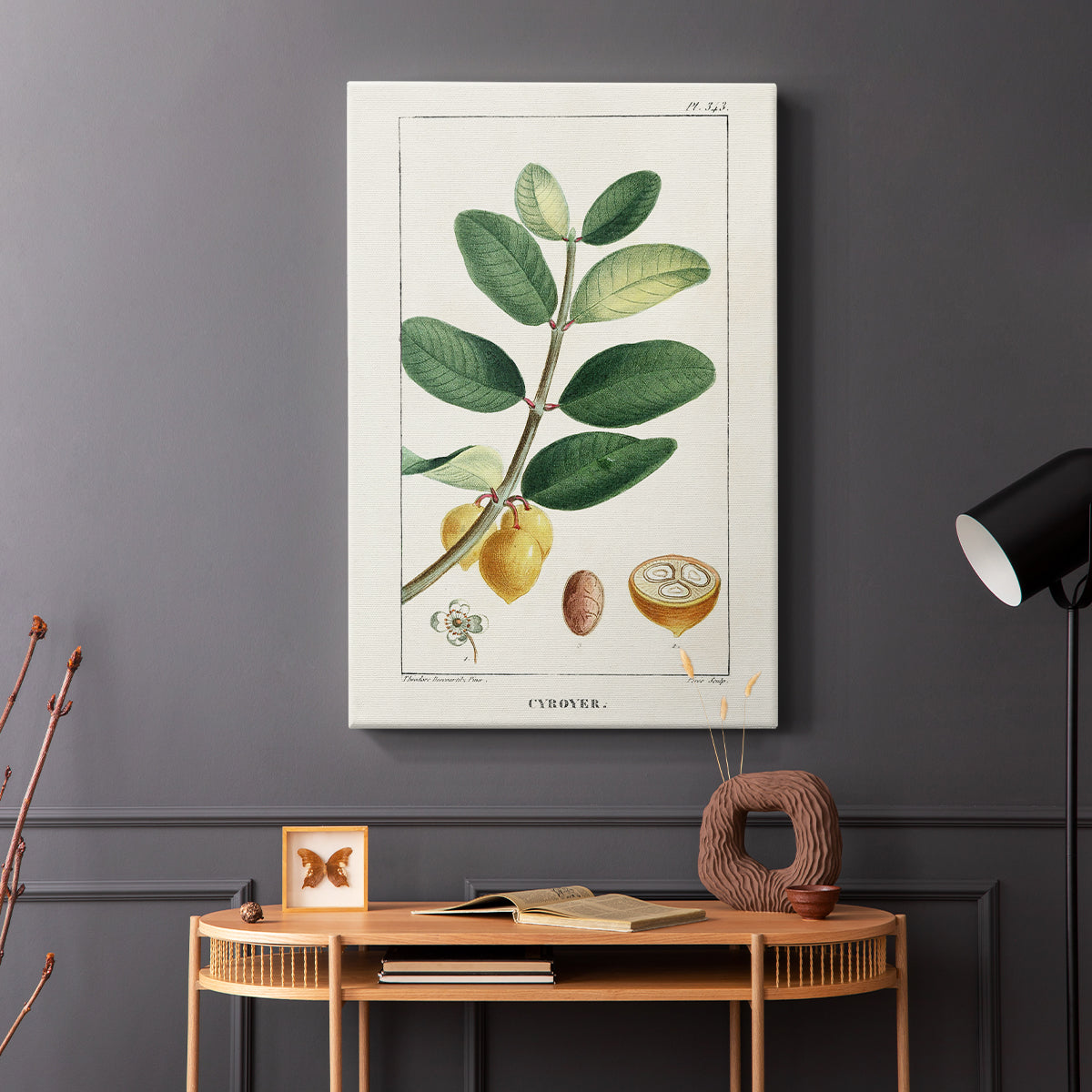 Turpin Tropical Botanicals V - Canvas Art Print