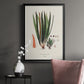 Botanical Society Ferns V - Modern Framed Canvas Print