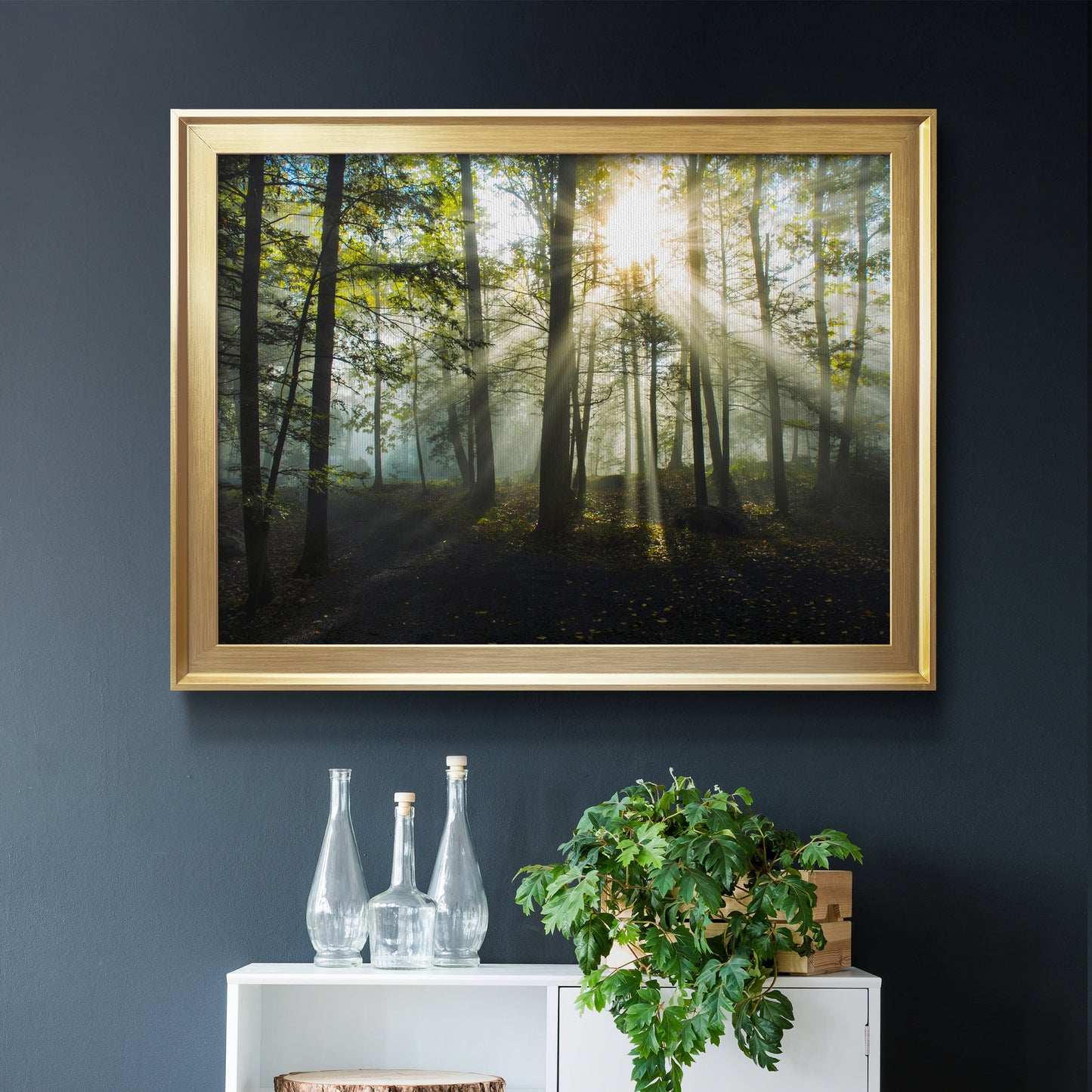 Light and Trees Premium Classic Framed Canvas - Ready to Hang