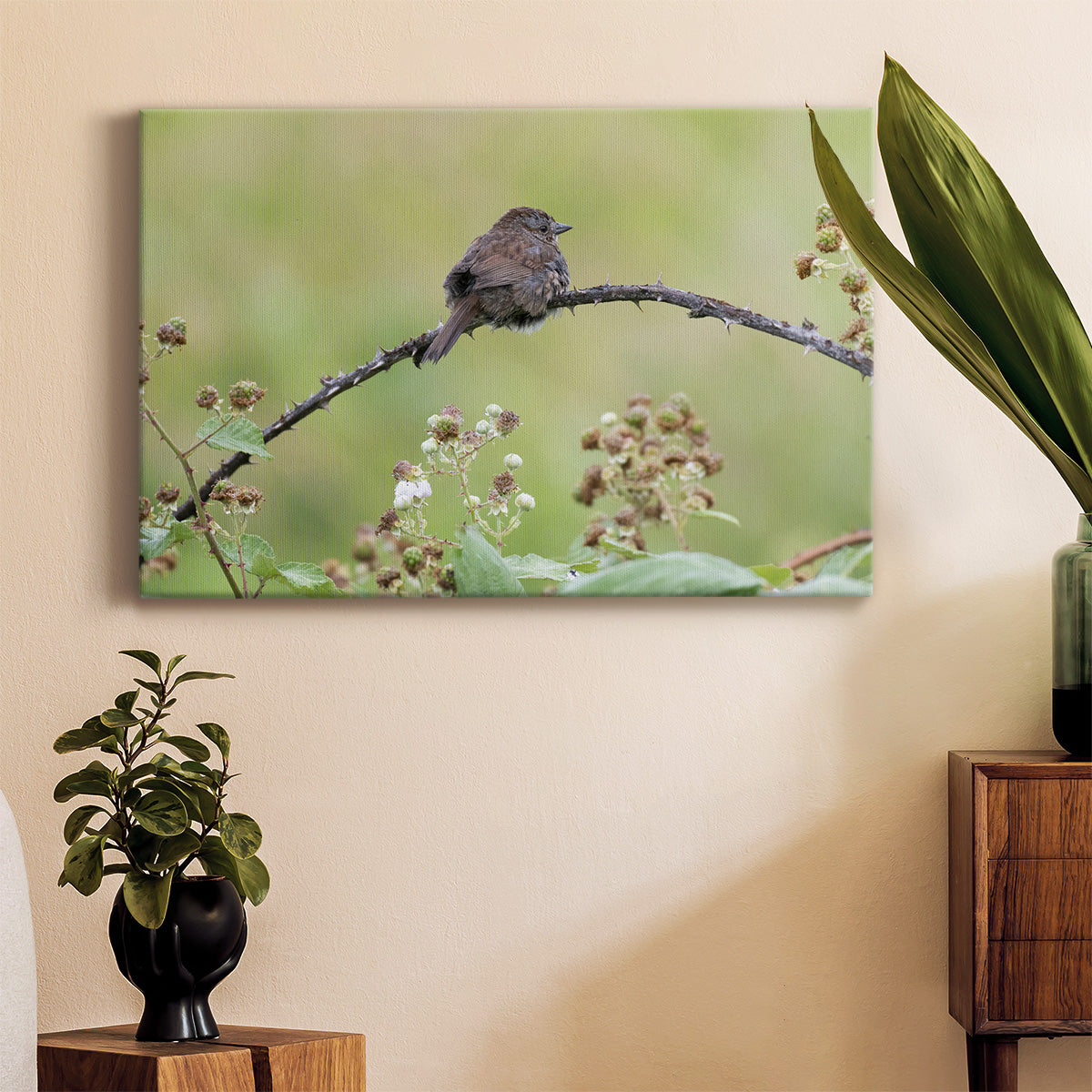 Resting Sparrow - Canvas Art Print