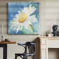 Daisy Sunshine I - Canvas Art Print