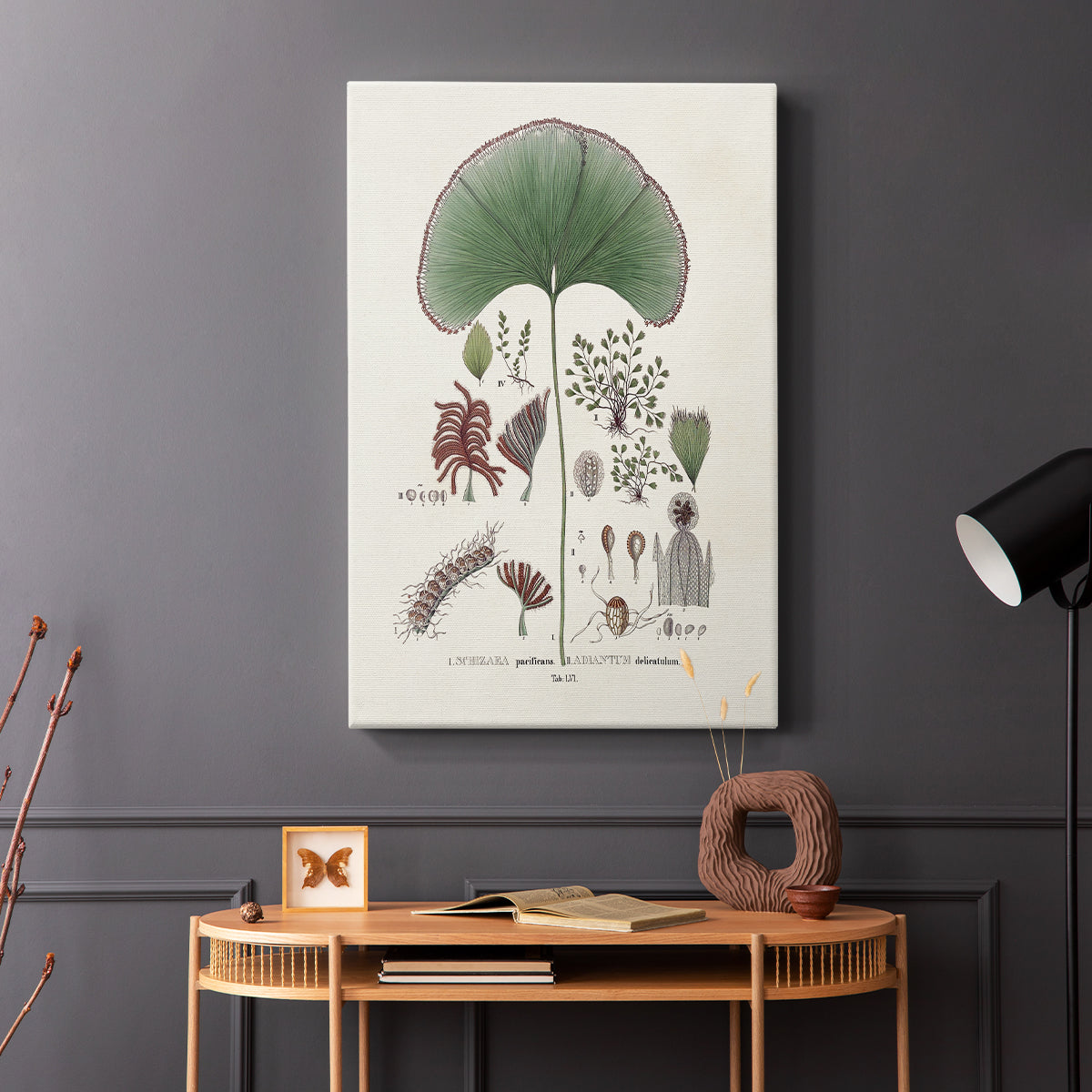 Botanical Society Ferns III - Canvas Art Print