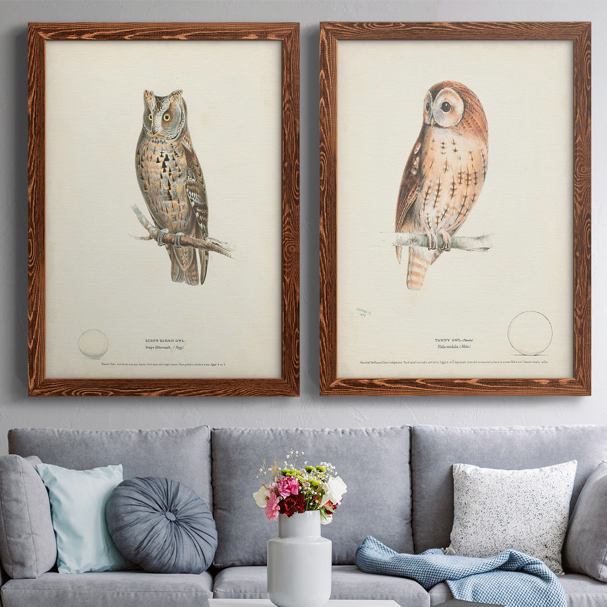 Scops- Eared Owl - Premium Framed Canvas 2 Piece Set - Ready to Hang