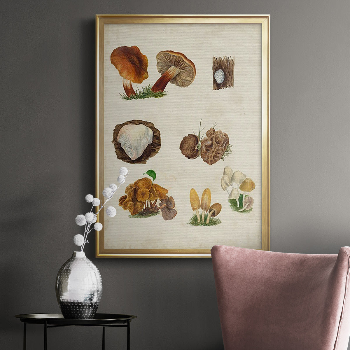 Mushroom Species I - Modern Framed Canvas Print