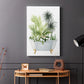 Plant Bath II - Canvas Art Print