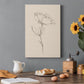 Floral Contour Study IV Premium Gallery Wrapped Canvas - Ready to Hang