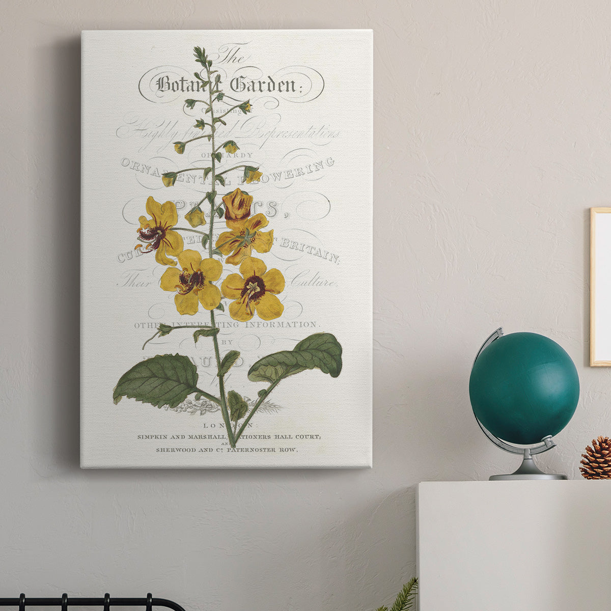 Flower Garden Varietals V - Canvas Art Print