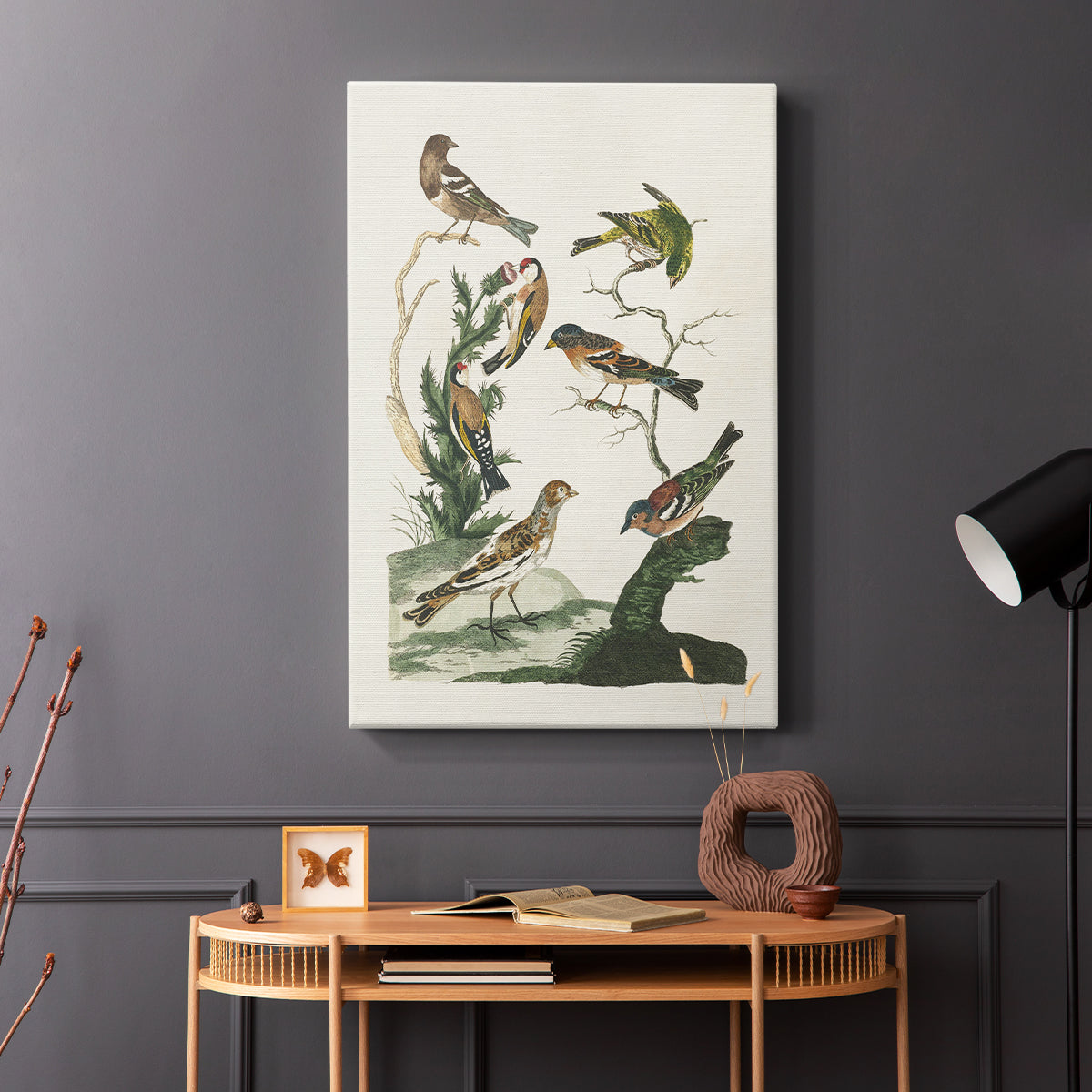 Antique Birds in Nature I - Canvas Art Print