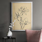 Magnolia Sketch II - Modern Framed Canvas Print