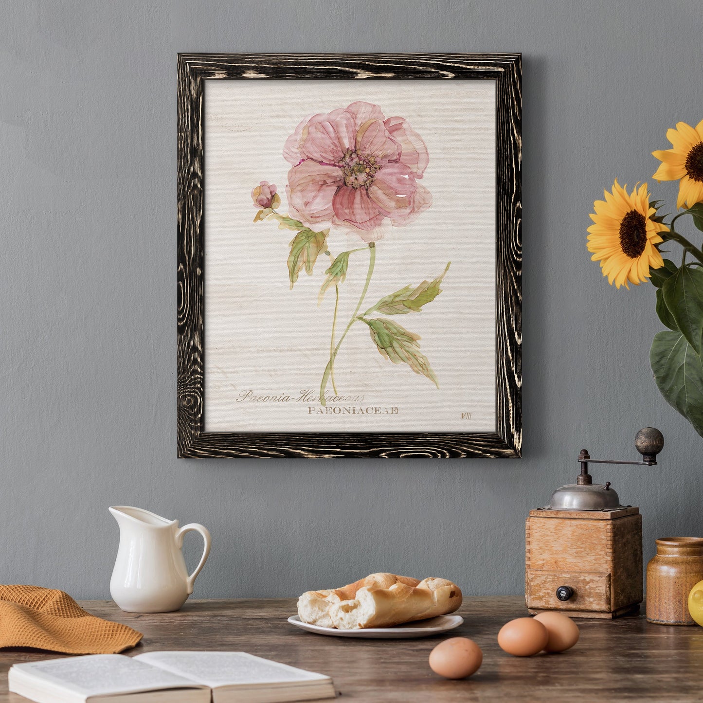 Soft Peony - Premium Canvas Framed in Barnwood - Ready to Hang