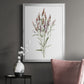 Dainty Botanical III - Modern Framed Canvas Print