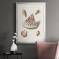 Pastel Knorr Shells VII - Modern Framed Canvas Print