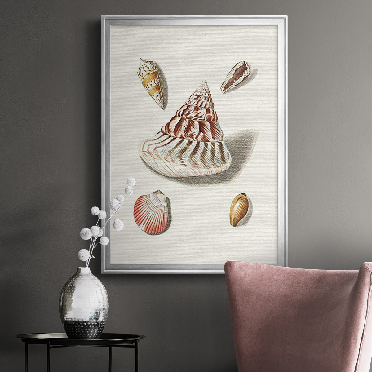 Pastel Knorr Shells VII - Modern Framed Canvas Print