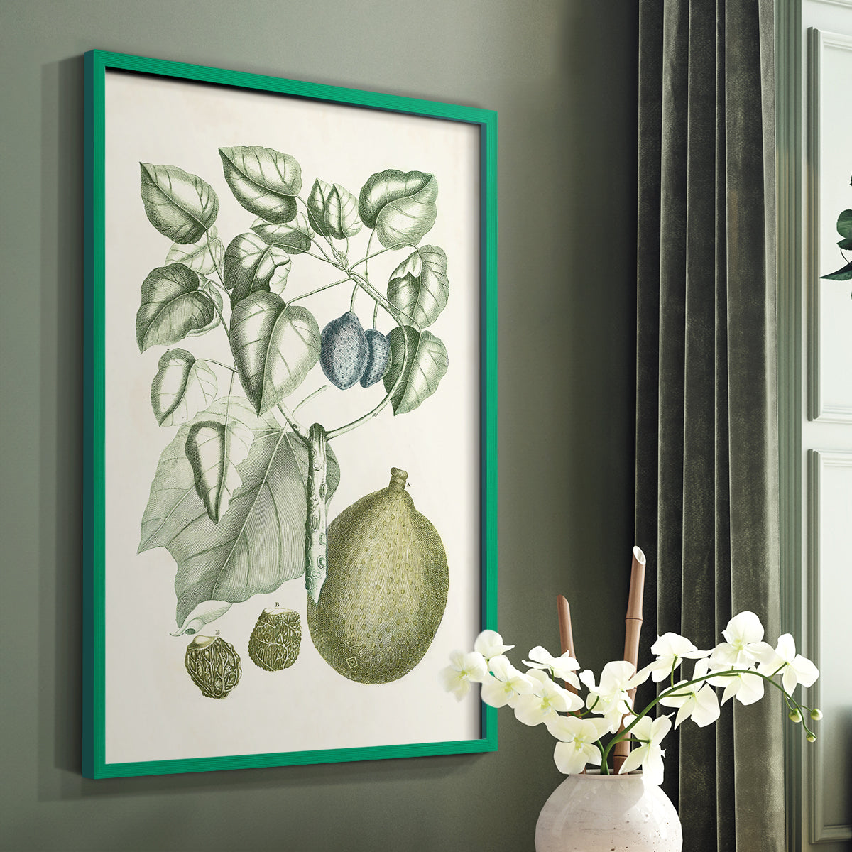 Buchoz Tropicals VIII - Restickable Framed Art Print