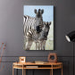 Family of Namibia - Canvas Art Print