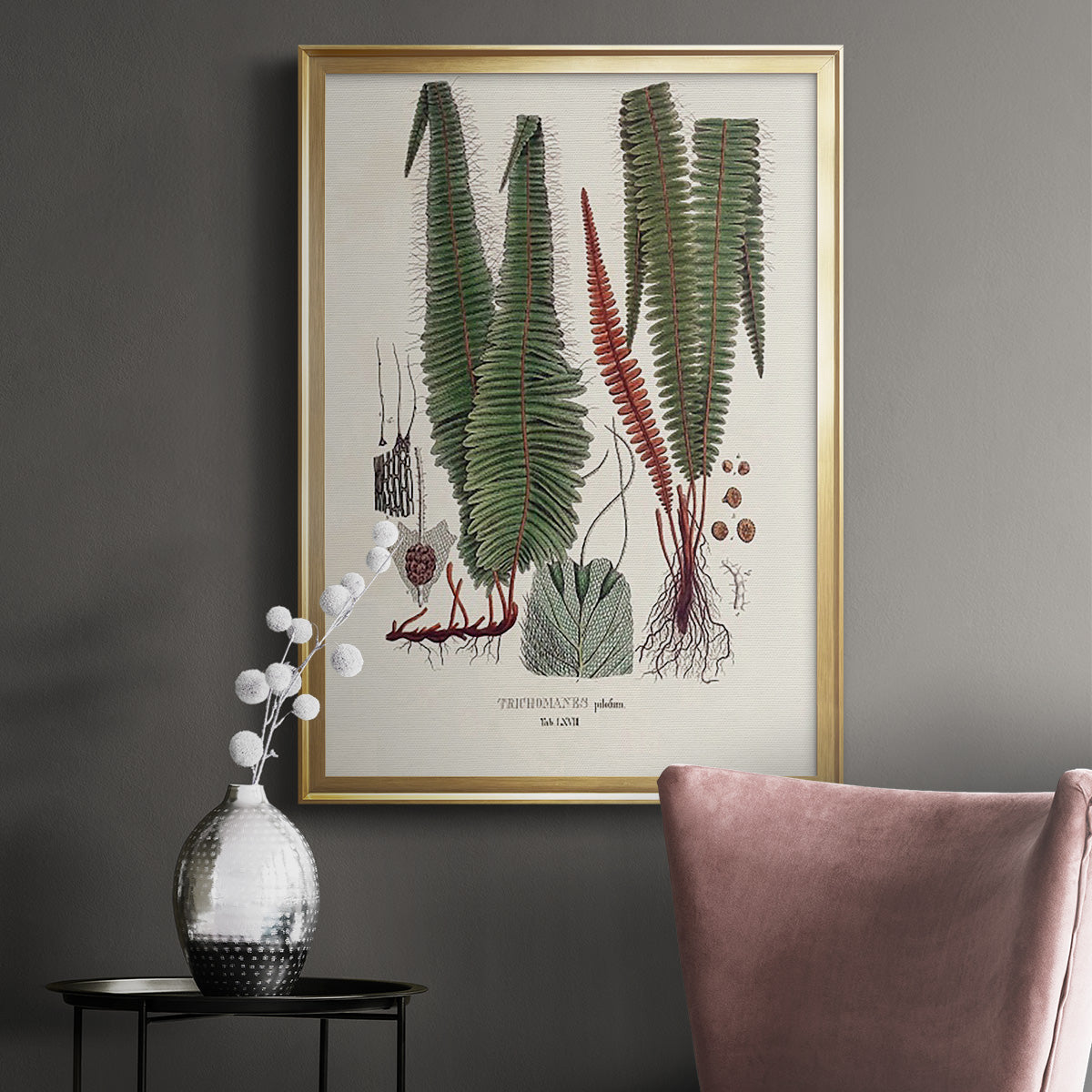 Botanical Society Ferns IV - Modern Framed Canvas Print