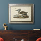 Audubons Brown Pelican - Ornate Framed Canvas Print