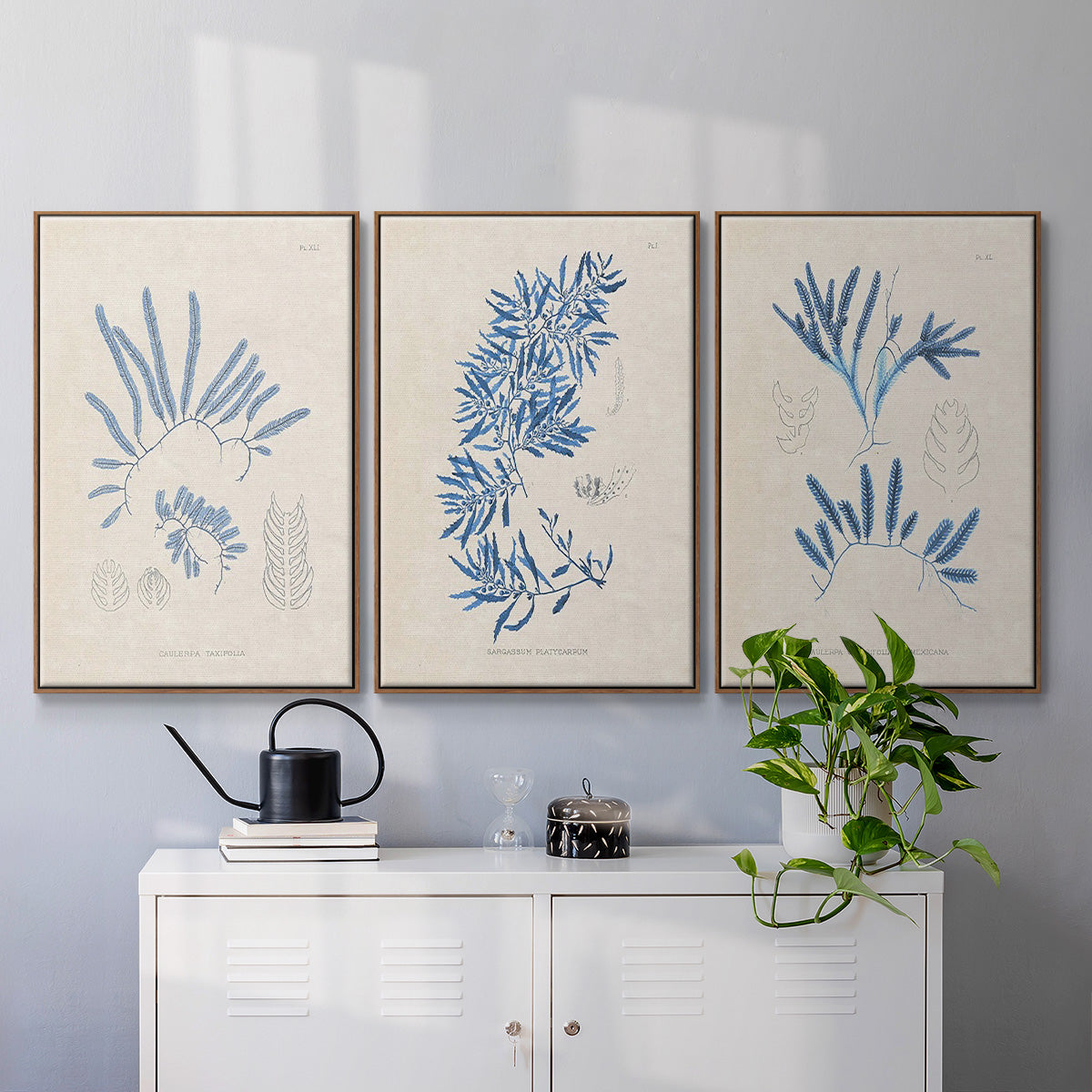 Blue Marine Algae I - Framed Premium Gallery Wrapped Canvas L Frame 3 Piece Set - Ready to Hang