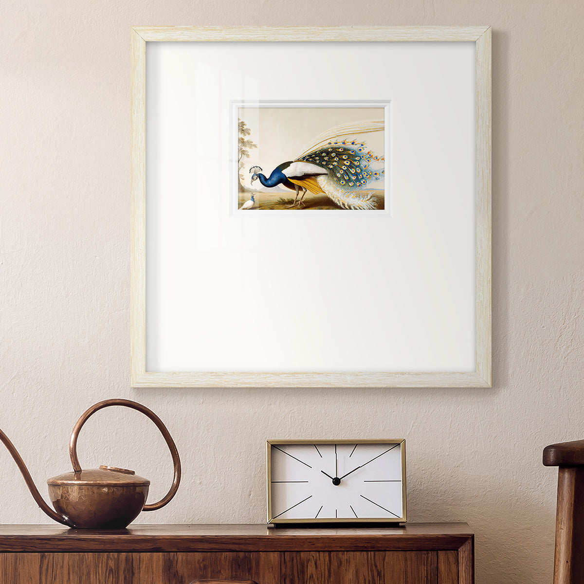 Golden Peacock Premium Framed Print Double Matboard