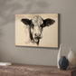 Charcoal Cow II - Canvas Art Print