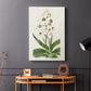 Flore Albo I - Canvas Art Print