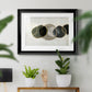 River Rock Premium Framed Print - Ready to Hang