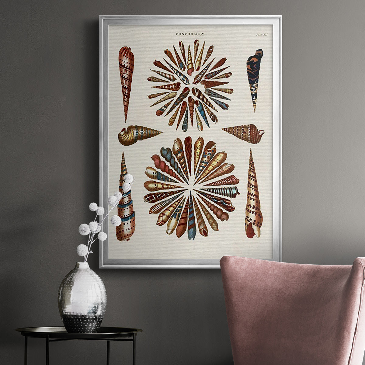 Spiral Shell Formation III - Modern Framed Canvas Print