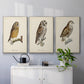 French Owls I - Framed Premium Gallery Wrapped Canvas L Frame 3 Piece Set - Ready to Hang