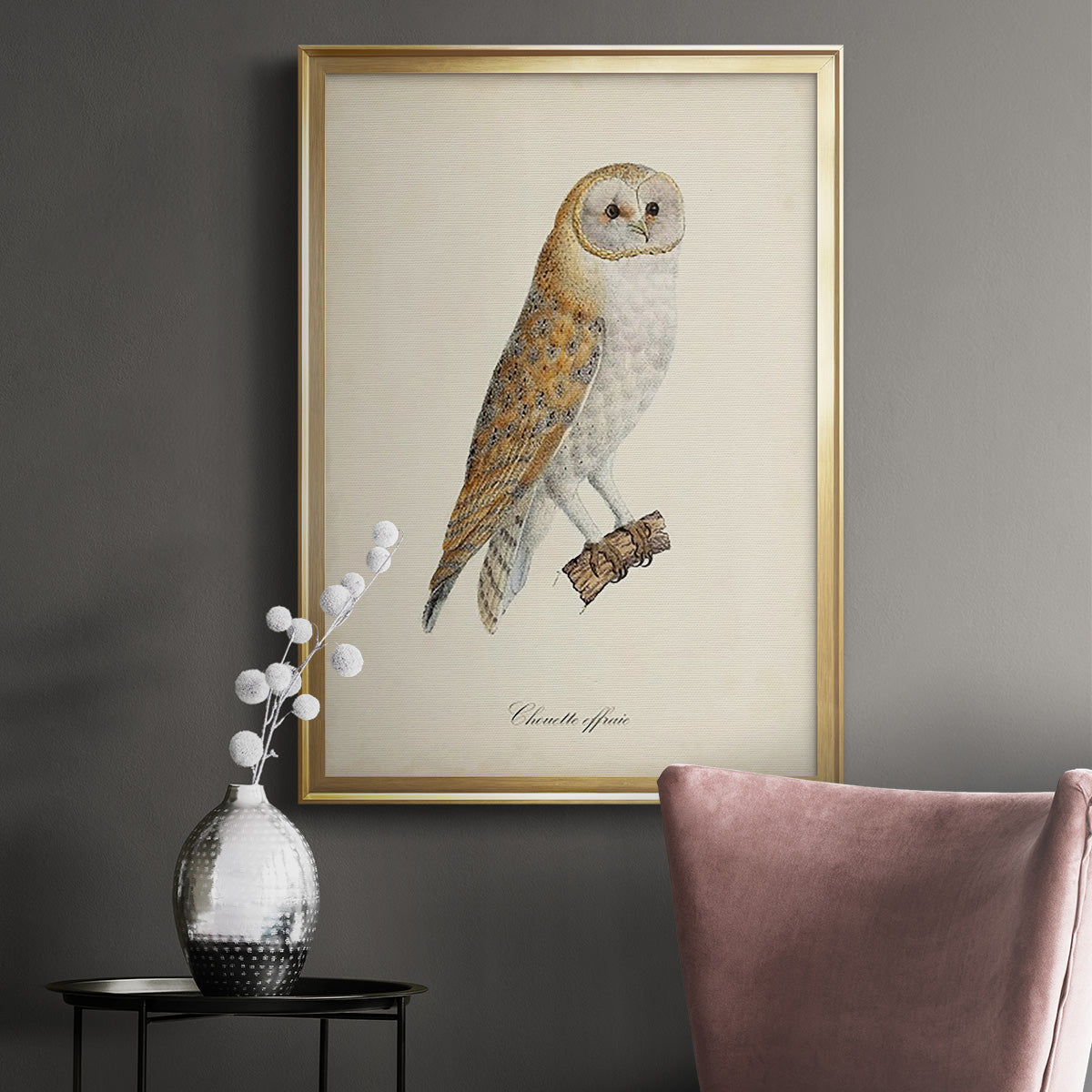 French Owls VI - Modern Framed Canvas Print