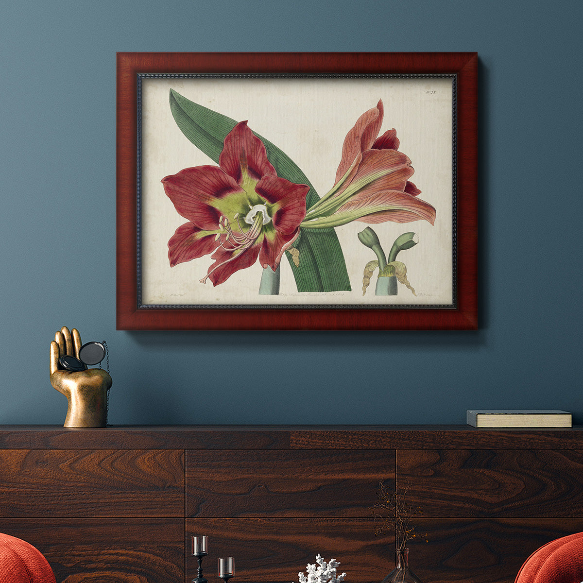 Amaryllis Splendor I Premium Framed Canvas- Ready to Hang