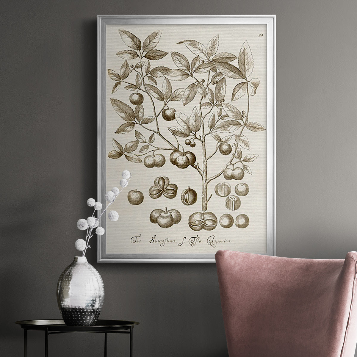 Sepia Botanical Journal II - Modern Framed Canvas Print