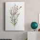 Dainty Botanical II - Canvas Art Print