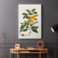 Solstice Parrot, 1796 - Canvas Art Print