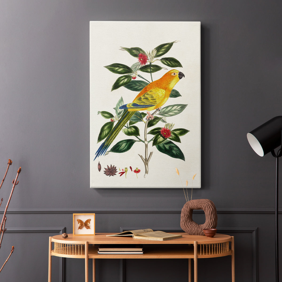 Solstice Parrot, 1796 - Canvas Art Print
