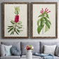 Set of two walnut barnwood framed canvas prints depicting paired vintage botanical plate illustrations with peonies thistles leafy stems and archival cream paper above a sofa in a contemporary living room.