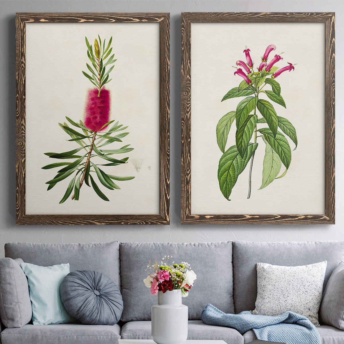 Set of two walnut barnwood framed canvas prints depicting paired vintage botanical plate illustrations with peonies thistles leafy stems and archival cream paper above a sofa in a contemporary living room.