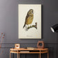 French Owls II - Canvas Art Print