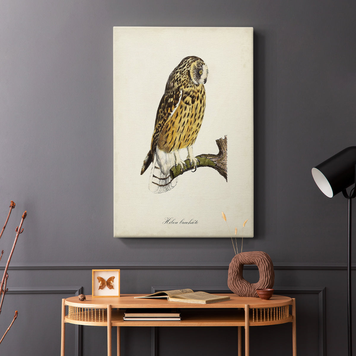 French Owls II - Canvas Art Print