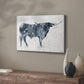 Long Horn - Canvas Art Print