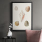 Pastel Knorr Shells IX - Modern Framed Canvas Print