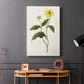 Flowers of the Seasons X - Canvas Art Print